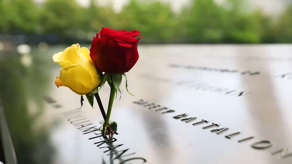 Second 9/11 victim identified with breakthrough genetic genealogy, NYC officials say
       — ABC 7 Bay Area, Orinda Community news