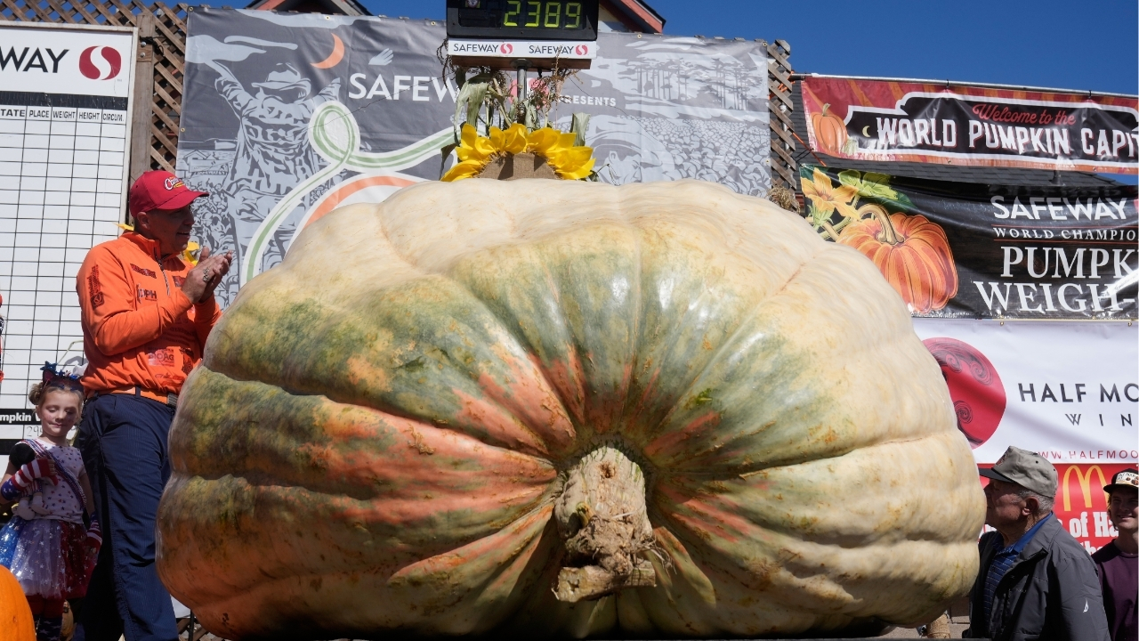 A giant pumpkin named Rocky gives a champion grower his California comeback
— ABC 7 Bay Area, Orinda Schools news