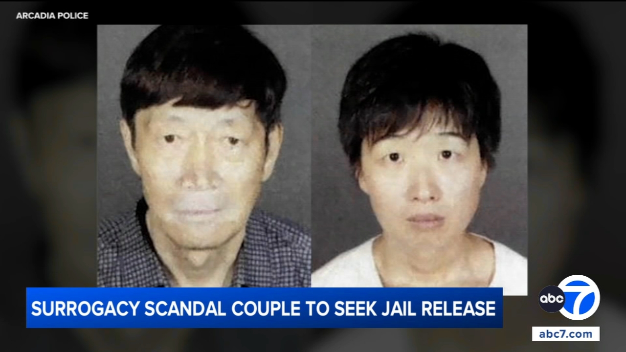 California couple accused in surrogacy scandal to seek release from jail, attorneys say
       — ABC 7 Bay Area, Orinda Community news