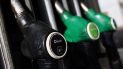 Fuel costs squeezing margins for some businesses — BBC Business, Orinda Business news