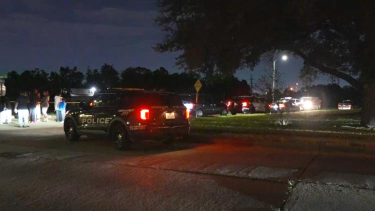HPD: Man dies after going for swim in Sims Bayou in southeast Houston — KHOU 11 (Houston), Orinda Sports news