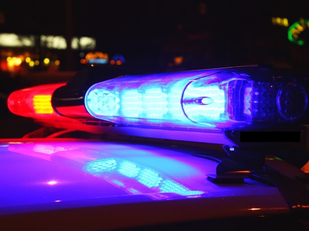 Pumpkin-Throwing Suspect Bites Grocery Store Employee's Arm In Fremont: Police — Berkeley Patch