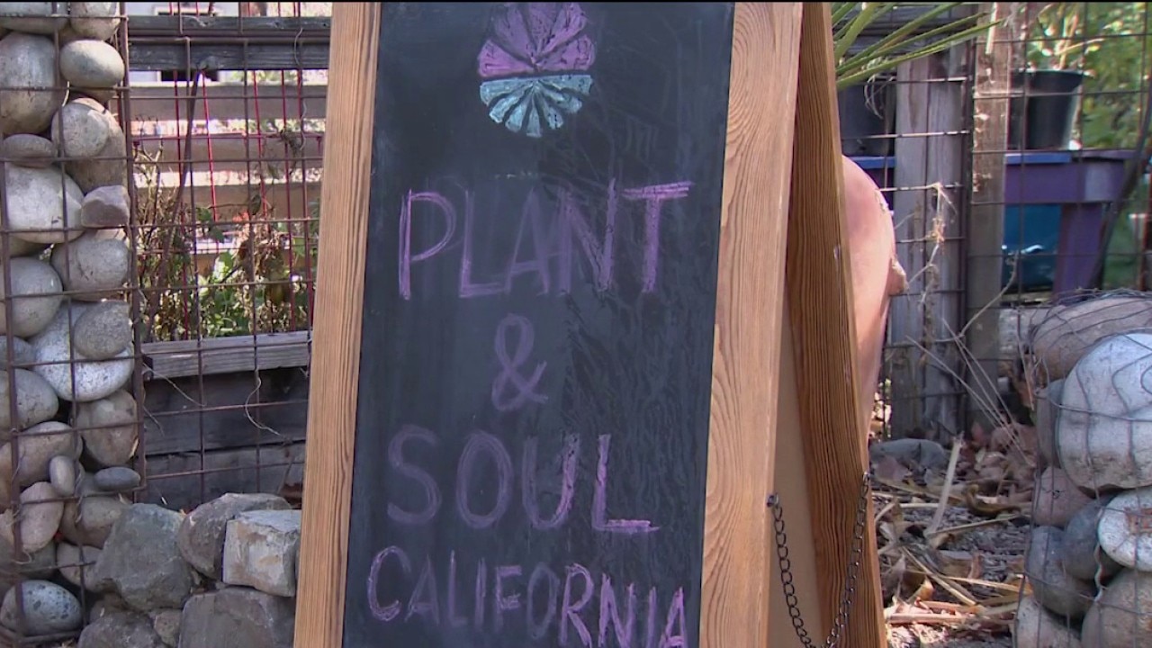 San Jose community garden faces possible eviction — KTVU FOX 2 Bay Area, Orinda Schools news