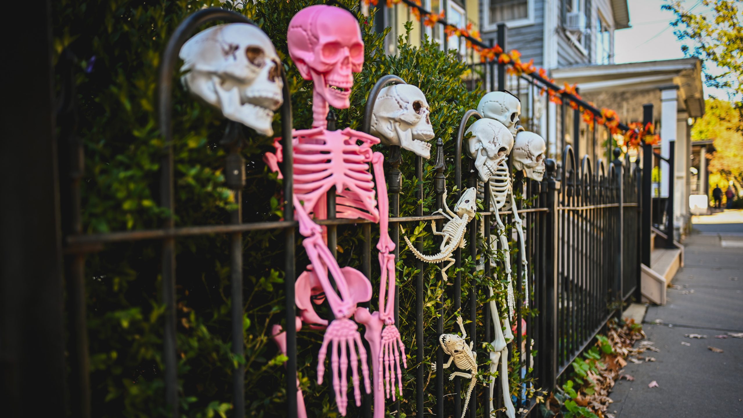 America's best cities for Halloween, ranked — KTVU FOX 2 Bay Area, Orinda Community news