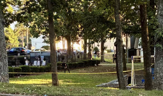 68-year-old woman fatally struck by stray bullet while sitting on porch — KTVU FOX 2 Bay Area, Orinda Community news